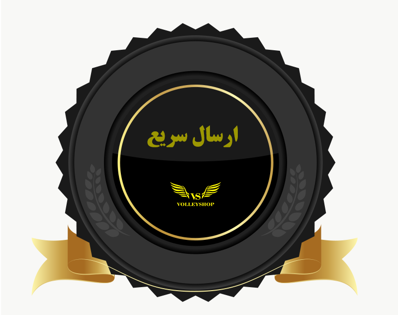ارسال سریع